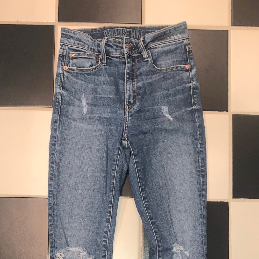 Aritzia Paradise Mine HighRise Skinny Jean Size 24